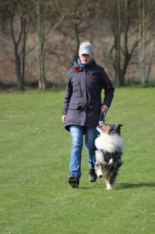 Begleithundeprüfung 08.04.2017