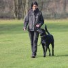 Begleithundeprüfung 08.04.2017