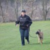 Begleithundeprüfung 08.04.2017