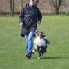 Begleithundeprüfung 08.04.2017