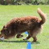 170610_Sommerfest