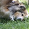 170610_Sommerfest