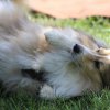 170610_Sommerfest