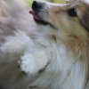 170610_Sommerfest