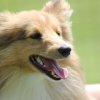 170610_Sommerfest