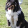 170610_Sommerfest