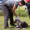 170610_Sommerfest