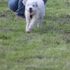 170610_Sommerfest
