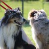 170610_Sommerfest
